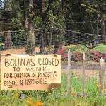 A sign hangs outside of Bolinas, California, warning visitors to stay away. (Maura Dolan/Los Angeles Times)