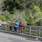 The bridge at Lake Sylvia State Park attracted a fair number of anglers Tuesday. Lake Sylvia was one of two state parks to reopen that day.