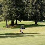 DAN HAMMOCK | GRAYS HARBOR NEWS GROUP                                 Two golfers, one in a cart and one on foot, play a round of golf at Highland Golf Course in Cosmopolis Tuesday. Golf courses, with restrictions, were allowed to reopen Tuesday with provisions put in place to reduce the risk of spreading the coronavirus.