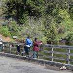 The bridge at Lake Sylvia State Park attracted a fair number of anglers Tuesday. Lake Sylvia was one of two state parks to reopen that day.