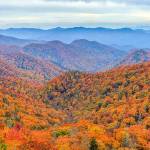 From mountain peaks to arid deserts, park reopenings spur debate