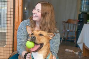 PAWS accepting new pets, donations