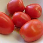 John Phelan photo                                Plum tomatoes can be grown as container plants. This meaty variety is generally used to make tomato sauce and paste.