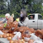 Keith Thorpe/Peninsula Daily News                                 Volunteers Delores Hampton, left, and Tavita Bucio, both of Sequim, pick up bags of potatoes and onions for placement into a waiting vehicle during a giveaway at the Clallam County Fairgrounds in Port Angeles in May. The organizer of that giveaway, Connie Beauvais, has announced four locations for a similar event, all potatoes, in Grays Harbor County starting Friday.