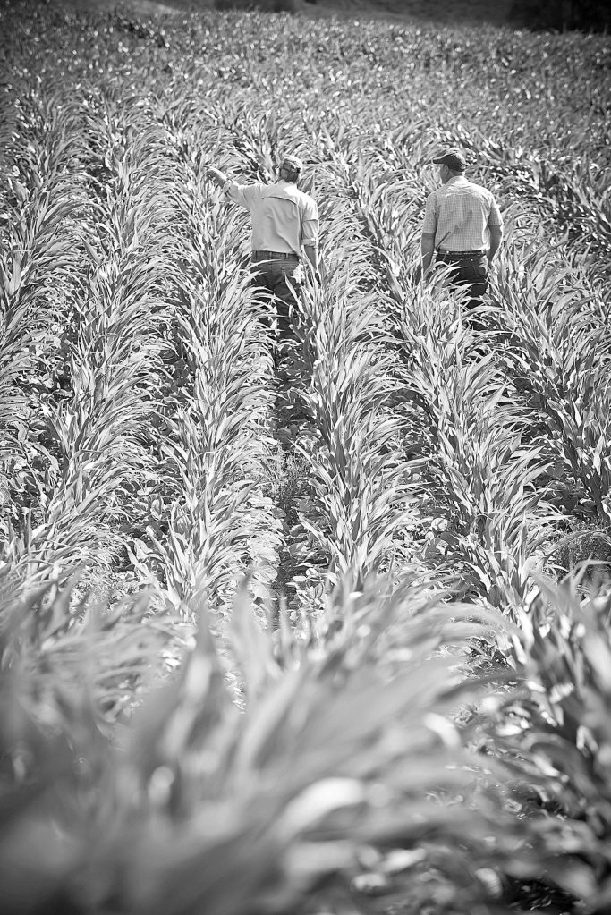 USDA NRCS Montana                                A Natural Resources Conservation Service representative discusses the condition of a Montana farmers soil under a no-till system planted to corn and soybeans in alternate rows.
