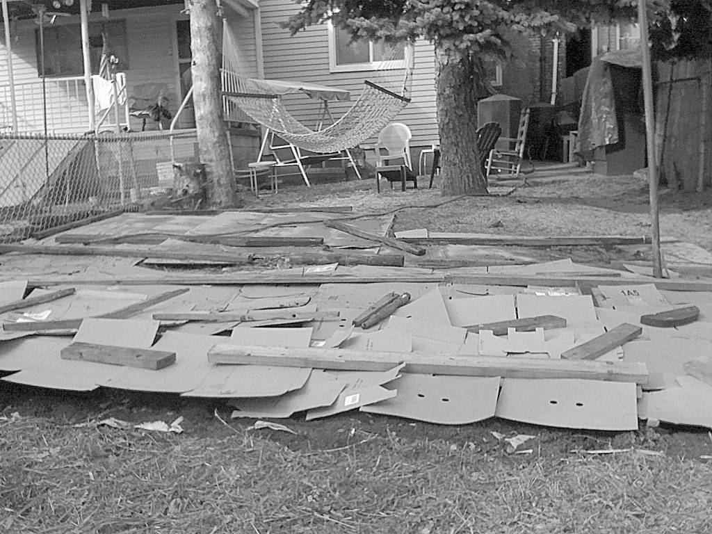 Jonathan Brodsky photo                                Using cardboard to block sunlight is a key part of preparing a no-till gardening bed.