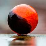 Museums introduce changes as Harbor enters Phase 3 of reopening