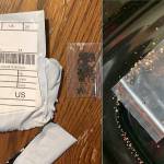 Kansas Department of Agriculture                                The Agriculture Department is looking into the origins of mysterious packages of seeds with Chinese mailing addresses delivered to recipients who say they never ordered them.