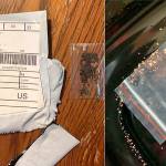 USDA examining unidentified seeds mailed from China