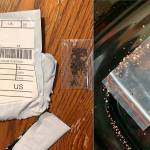 The Agriculture Department is looking into the origins of mysterious packages of seeds with Chinese mailing addresses delivered to recipients who say they never ordered them. (Kansas Department of Agriculture)