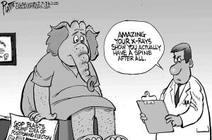 Bruce Plante, Tulsa World