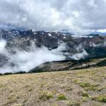 The Olympic Mountains appear from 6,773-foot Elk Mountain along the Grand Ridge trail. (Rob Ollikainen/Peninsula Daily News)