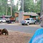 A postcard from the edge: Road trippin’ into the great known and unknown