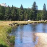 My picnic spot along the headwaters of the Tuolumne River in Yosemite National Park. At left is Unicorn Peak and at right, in the distance, is Cathedral Peak. Back in my youth, I sat atop both those granite spires on the same summer afternoon. (Photos by David Haerle/The Daily World)