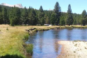 My picnic spot along the headwaters of the Tuolumne River in Yosemite National Park. At left is Unicorn Peak and at right, in the distance, is Cathedral Peak. Back in my youth, I sat atop both those granite spires on the same summer afternoon. (Photos by David Haerle/The Daily World)