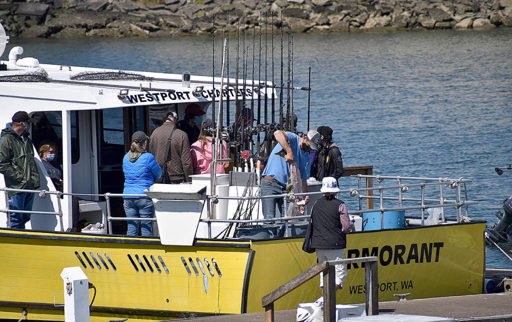 DAN HAMMOCK | GRAYS HARBOR NEWS GROUP                                 The charter boat Cormorant returned to the Westport Marina Aug. 13 after a combination bottomfish and salmon trip.