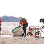 From left: WDFW lead shellfish technician Clayton Parson, Coastal Shellsh Manager Dan Ayres and WDFW technician Craig Loften conduct a razor clam stock assessment survey on Tuesday in Long Beach. (Photo by Luke Whittaker/Chinook Observer)