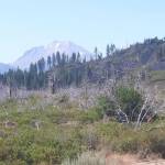 This view of Mount Lassen from the east was never possible until the Hat Creek Fire devastated the forest curtain in 2012. (David Haerle/The Daily World)