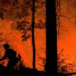 Firefighters respond to a structure fire CZU Lightning complex fire on Sunday in Boulder Creek, California. (Kent Nishimura/Los Angeles Times)