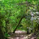 Patricia Jollimore photo