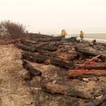 COURTESY WASH AWAY NO MORE                                 A log groin used for shoreline protection at North Cove was severely damaged by a fire Wednesday.
