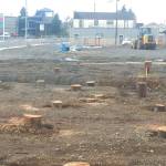 A new home for the Dominos pizza parlor is being built on 2600 block of Simpson Avenue in Hoquiam. (David Haerle/The Daily World)