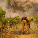 How wine country became the epicenter for fires in California
