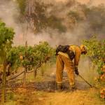 Firefighters from the Sacramento Fire Department work to contain the Glass Fire in Napa County on Sundayi. (Kent Nishimura/Los Angeles Times)