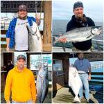 COURTESY WESTPORT WEIGHMASTER The 2020 Westport Charterboat Association derby winners, clockwise from top left: Robert Inslee of East Wenatchee with a 32.2-pound Chinook caught aboard the Predator; Ken Sheaffer of Milton with a 12.45-pound coho caught aboard the Tequila Too; Keith Nelson of Tulalip with a 63.90-pound halibut caught aboard the Angler; and Sean Gomez of Spokane with a 32.9-pound albacore tuna caught aboard the Blue Eyes.