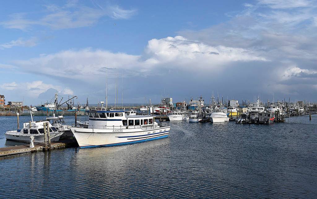 DAN HAMMOCK | THE DAILY WORLD The Westport sport fishing season has wound down for the year, with most of the charter fleet moored in the Westport Marina Oct. 10.