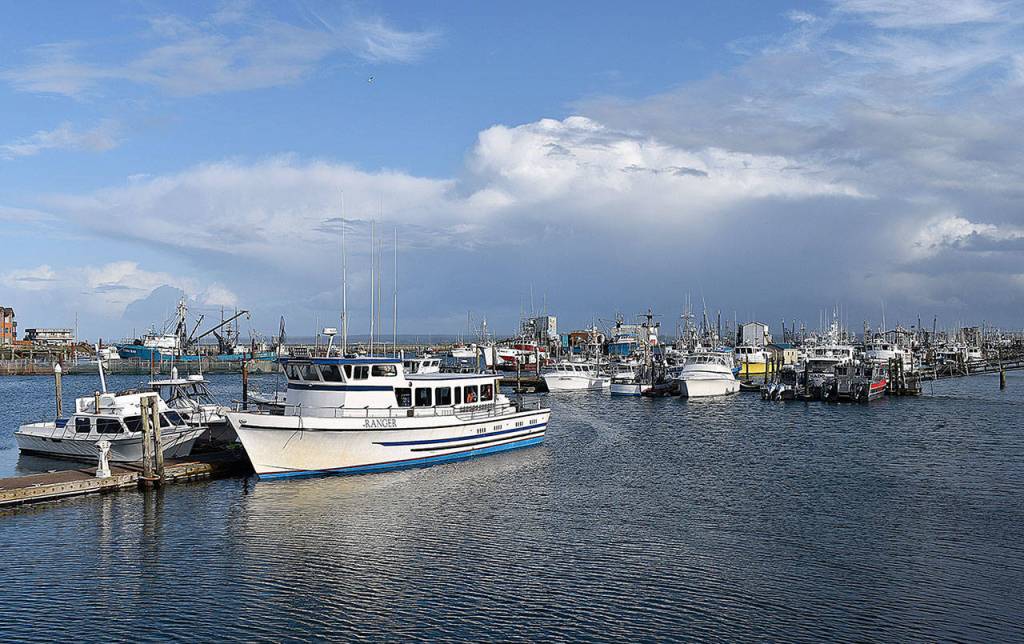 DAN HAMMOCK | THE DAILY WORLD The Westport sport fishing season has wound down for the year, with most of the charter fleet moored in the Westport Marina Oct. 10.