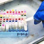 Scientists inspect cell cultures at San Diego Zoo Globals Frozen ZooAE, a collection of tissue and genetic material that has been collected by conservation researchers since it was founded in 1972. Frozen viable cell cultures from more than 9,000 individual animals, comprising nearly 1,000 species are included in the collection. (San Diego Zoo Global)