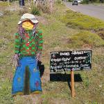 COURTESY JIM HUMMER A scarecrow welcomes visitors to the site of the Ocean Shores scarecrow contest.