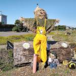 COURTESY JIM HUMMER One of the more than 20 scarecrows installed so far in the Ocean Shores scarecrow contest, running this month.