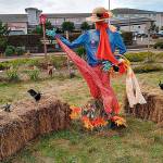 COURTESY JIM HUMMER Scarecrows ranging in style from classic to quirky have been entered in the contest.