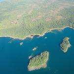 The U.S. Department of Interior has approved logging in Tongass National Forest, a portion of which is seen below, in Alaska (File Photo)