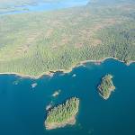The U.S. Department of Interior has approved logging in Tongass National Forest, a portion of which is seen in this aerial photo from Alaska (File Photo)