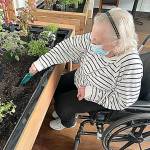 Pacific Care and Rehabilitation Center resident Shirley Brooks does some herb gardening.