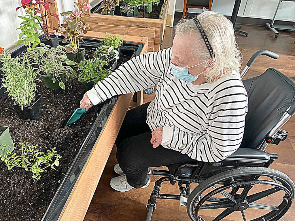 Pacific Care and Rehabilitation Center resident Shirley Brooks does some herb gardening.