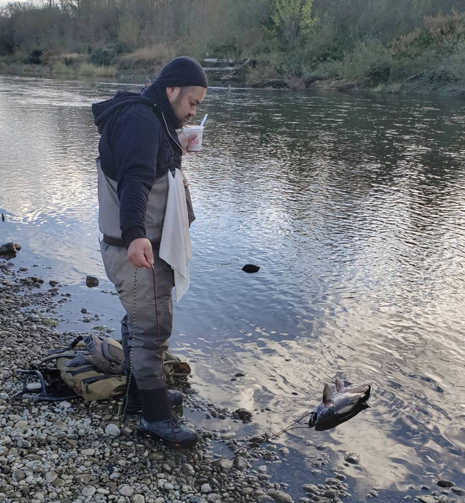 RYAN SPARKS | THE DAILY WORLD Alan Nguyen, of Everett, checks on a salmon his friend Ryan Aliinui caught on the Satsop River Thursday afternoon.