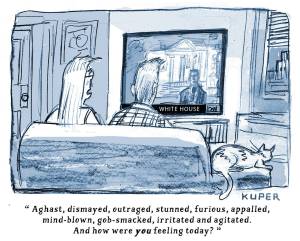 Peter Kuper, PoliticalCartoons.com