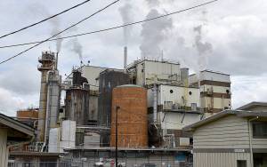 DAN HAMMOCK | THE DAILY WORLD 
Cosmo Specialty Fibers in Cosmopolis, shut down in May due to pandemic-related reduction in demand for its products, is making plans to get back to full production in February.