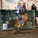 PHOTO BY RODNEY EVENS | ZYYE IMAGES 
McCleary native Jake Davis competes at a Challenge of Champions event. Davis won the tours season finale on Jan. 9 and plans to compete in a Professional Bull Riders event this weekend.