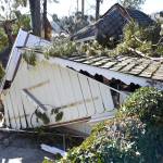 Craid Kohlruss/The Fresno Bee 
A tree lies on top of a home in Californias Bass Lake area after strong winds rip through the area overnight on January 19, 2021.