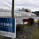 DAN HAMMOCK | THE DAILY WORLD 
Steam pours from the stacks in the Cosmo Specialty Fibers powerhouse Thursday. Steam power is used throughout the specialty pulp mill in Cosmopolis, and recycle materials are used in the wood cooking process. The source of heat is primarily woody biomass, byproducts from sawmills.