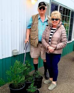 COURTESY WESTPORT WINERY
Westport Winery wine club members Dave and Ginnie Pearsall donated a series of giant sequoia and coast redwood seedlings to the winerys 15-acre display garden as part of an effort by Archangel Ancient Tree Archive, a nonprofit organization dedicated to preserving genetics of the worlds largest and oldest trees.