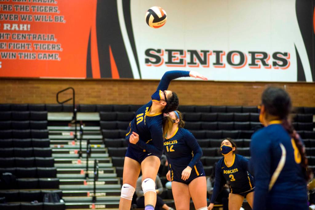 Aberdeens Nayseth Barragan rises for a kill attempt during the Bobcats 3-0 loss to Centralia on Thursday. (Eric Trent | The Chronicle)