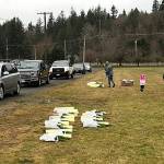 COURTESY PHILIP STIELSTRA
Some of the 111 cars that came through the Elma Fairgrounds March 20-21 to pick up 1,700 California redwood and giant sequoia seedlings.