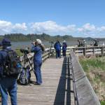 Photo provided by Rick Moyer
2018 Shorebird Festival birdwatchers.