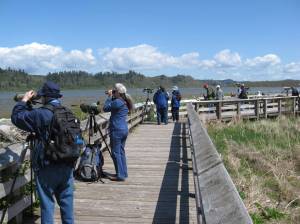 Photo provided by Rick Moyer
2018 Shorebird Festival birdwatchers.